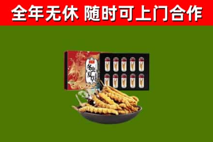 张湾回收冬虫夏草价格