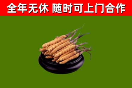 张湾烟酒回收冬虫夏草.jpg